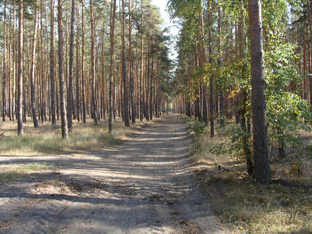 Ferienwohnung Цоссен Екстер'єр фото